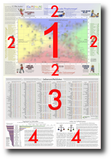 CaPNaK Chart